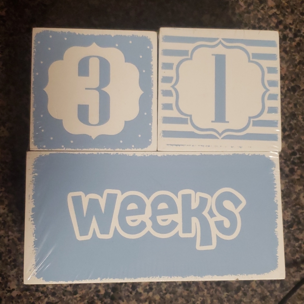 Baby Milestone Blocks white/blue